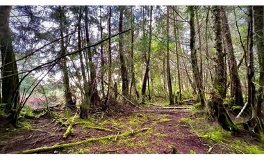 Venta Casa Lote Variante Aeropuerto Envigado