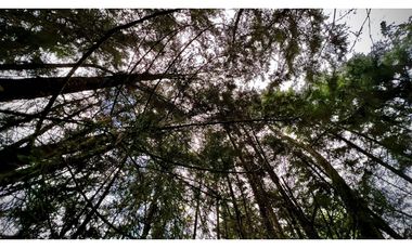 Venta Casa Lote Variante Aeropuerto Envigado