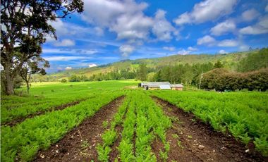 Venta Casa Lote Variante Aeropuerto Envigado