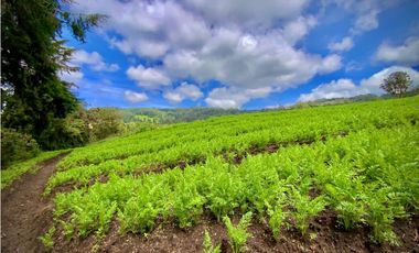 Venta Casa Lote Variante Aeropuerto Envigado