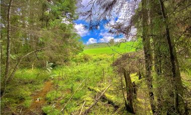 Venta Casa Lote Variante Aeropuerto Envigado