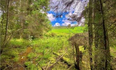 Venta Casa Lote Variante Aeropuerto Envigado