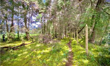 Venta Casa Lote Variante Aeropuerto Envigado