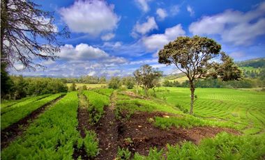 Venta Casa Lote Variante Aeropuerto Envigado