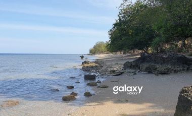 DIJUAL TANAH PULAU MOYO SUMBAWA LABUAN AJI NUSA TENGGARA BARAT