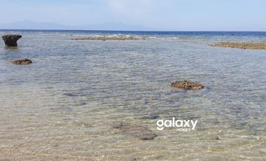 DIJUAL TANAH PULAU MOYO SUMBAWA LABUAN AJI NUSA TENGGARA BARAT