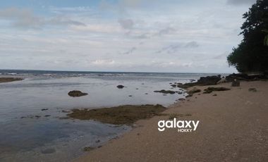 DIJUAL TANAH PULAU MOYO SUMBAWA LABUAN AJI NUSA TENGGARA BARAT