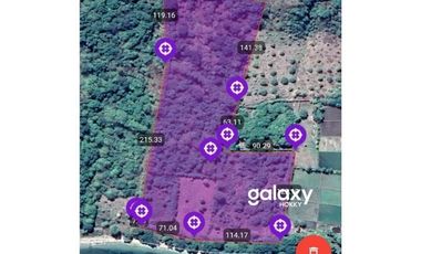 DIJUAL TANAH PULAU MOYO SUMBAWA LABUAN AJI NUSA TENGGARA BARAT