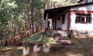 Bonita cabaña en zona de bosque en mazamitla, jalisco