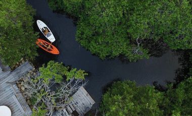 VENTA Hotel Ecoturistico en Tulum con Cenote y Laguna