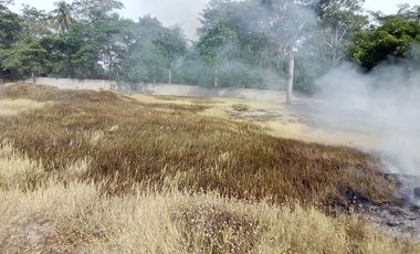 Venta de terreno de 14,600 m2 bardeado en Chilpetec Paraíso, Tabasco.