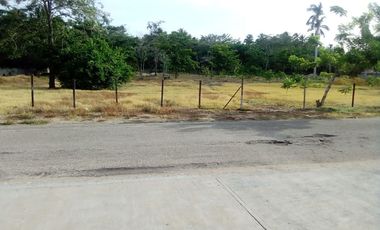 Venta de terreno de 14,600 m2 bardeado en Chilpetec Paraíso, Tabasco.
