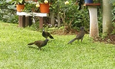 VENTA PARCELA RUITOQUE ALTO