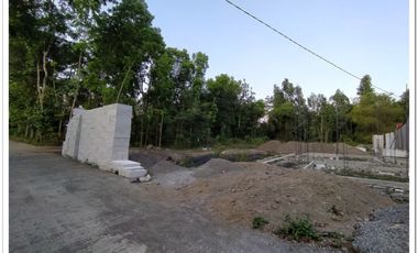 Ready 1 Unit Rumah Limasan Di Utara SGM Prambanan