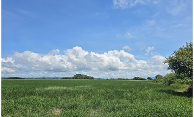 Se Vende Finca de 158  Hectáreas en Antón Provincia de Coclé