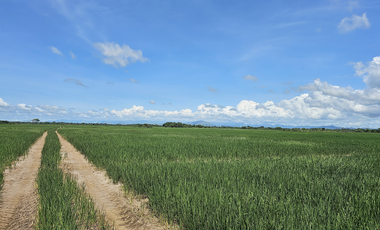 Se Vende Finca de 158  Hectáreas en Antón Provincia de Coclé