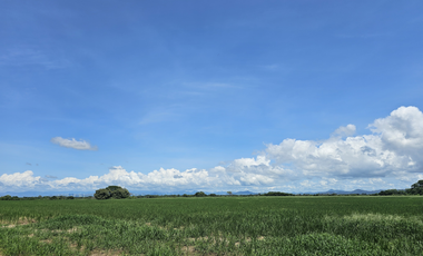 Se Vende Finca de 158  Hectáreas en Antón Provincia de Coclé