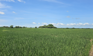 Se Vende Finca de 158  Hectáreas en Antón Provincia de Coclé