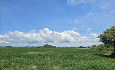 Se Vende Finca de 158  Hectáreas en Antón Provincia de Coclé