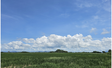 Se Vende Finca de 158  Hectáreas en Antón Provincia de Coclé