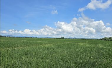 Se Vende Finca de 158  Hectáreas en Antón Provincia de Coclé