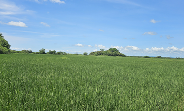 Se Vende Finca de 158  Hectáreas en Antón Provincia de Coclé