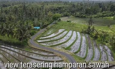 Tanah Pantai Soka Pemandangan Laut dan Sawah