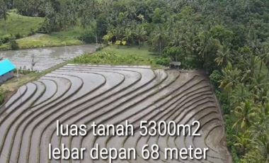 Tanah Pantai Soka Pemandangan Laut dan Sawah
