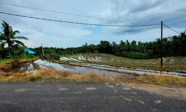 Tanah Pantai Soka Pemandangan Laut dan Sawah