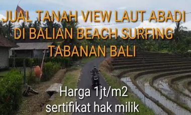 Tanah Pantai Soka Pemandangan Laut dan Sawah