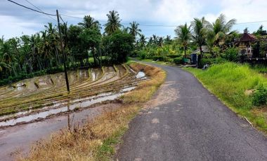 Tanah Pantai Soka Pemandangan Laut dan Sawah