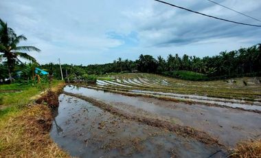 Tanah Pantai Soka Pemandangan Laut dan Sawah