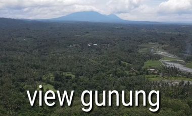 Tanah Pantai Soka Pemandangan Laut dan Sawah
