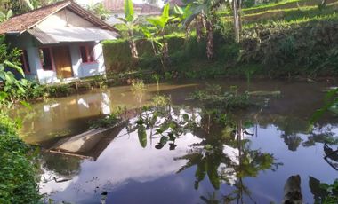 Jual kebun + rumah bambu+kolam ikan daerah dingin Wanayasa kab Purwakarta