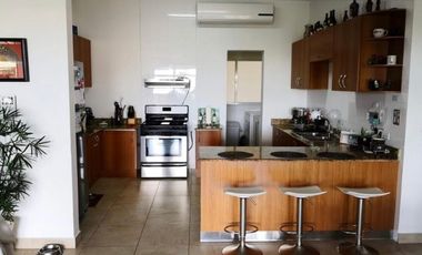 ALQUILO APARTAMENTO AMADOR