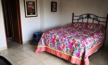 ALQUILO APARTAMENTO AMADOR