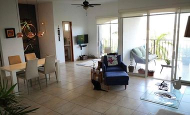 ALQUILO APARTAMENTO AMADOR