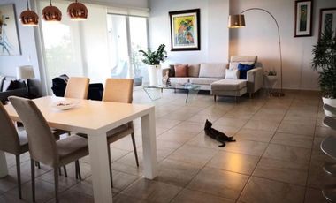 ALQUILO APARTAMENTO AMADOR