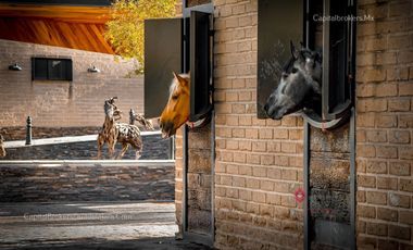 RANCHO DE LUJO CON PICADERO Y SALON DE EVENTOS EN EL SUR DE ZM GUADALAJARA