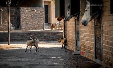 RANCHO DE LUJO CON PICADERO Y SALON DE EVENTOS EN EL SUR DE ZM GUADALAJARA