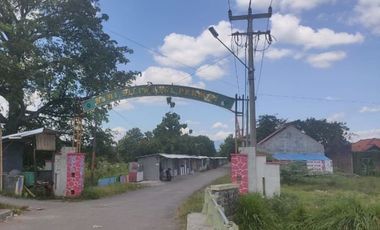 Tanah Dijual di Pabuaran Cirebon
