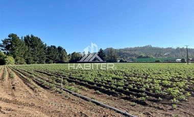 Parcela en Venta en COD36353 Desarrollo Industrial en Ruta 5 Sur Salida Norte Temuco Comuna Lautaro