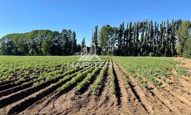 Parcela en Venta en COD36353 Desarrollo Industrial en Ruta 5 Sur Salida Norte Temuco Comuna Lautaro