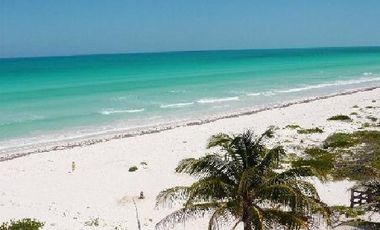 Venta de Terreno en Cuyo - Yucatan.