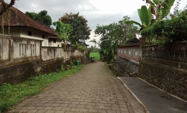 land for sale view jungle & rice field at payangan ubud bali