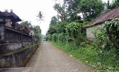 land for sale view jungle & rice field at payangan ubud bali