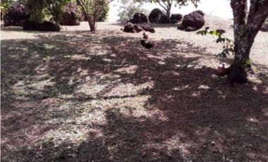 VENDO TERRENO EN LA CHORRERA AMADOR 1200MTS