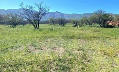 Avenida Los Ríos, Chicureo, Colina