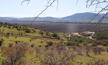 Parcela en Venta en Camino a Los Tricahues