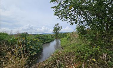 Se Vende Finca en Veraguas de 1110 Hectáreas